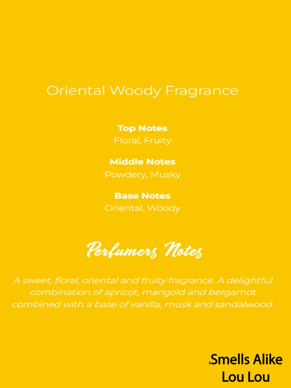 Shop Secondary Image Shop Secondary Image