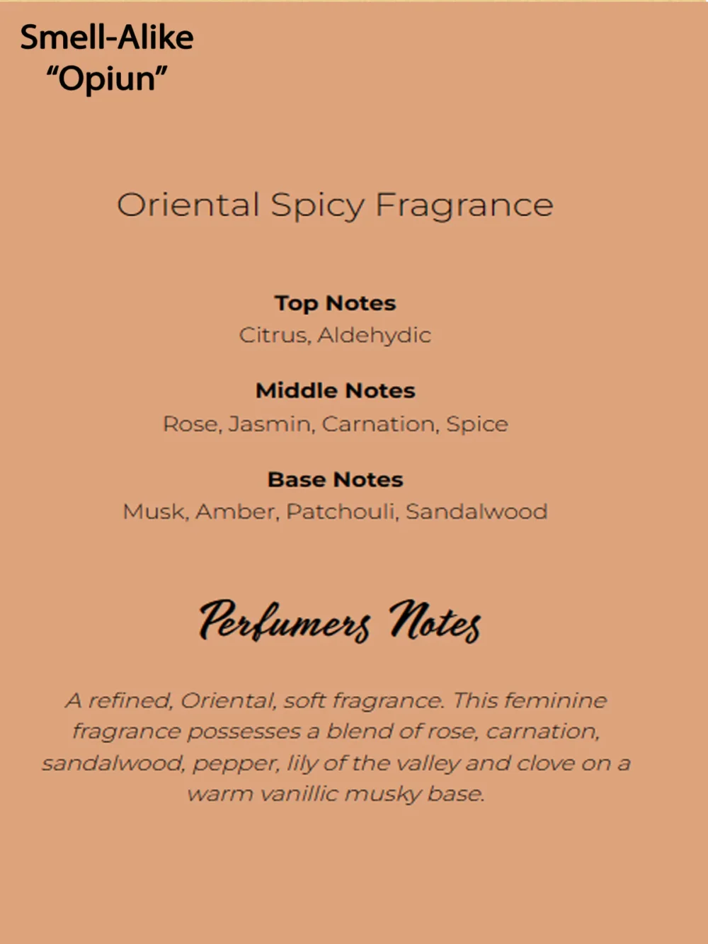 Shop Secondary Image Shop Secondary Image