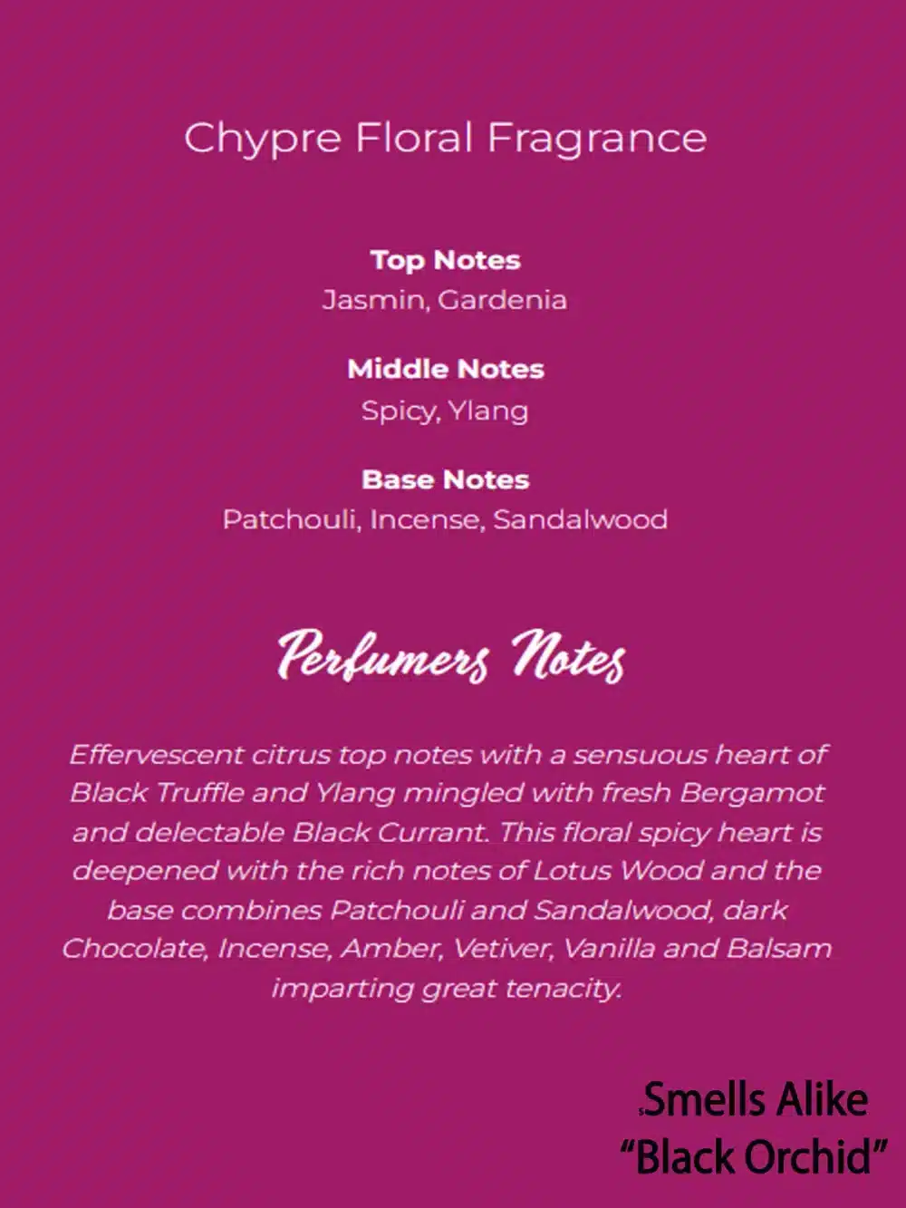 Shop Secondary Image Shop Secondary Image